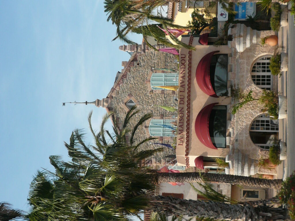 P1000662 la maison du lavandou
